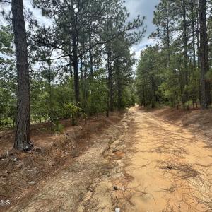 Photo #5 of Lizzie Jeter, Cameron, NC 5.7 acres