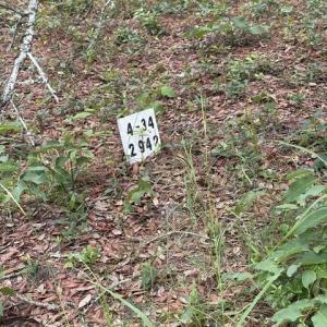 Photo #4 of 2942 Sugar Sand, Bolivia, NC 0.3 acres