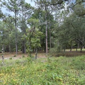 Photo #2 of 2942 Sugar Sand, Bolivia, NC 0.3 acres