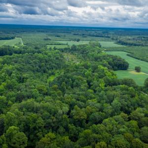 Photo #5 of 1601 Hills Neck, Ernul, NC 238.0 acres