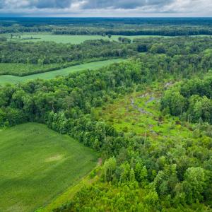 Photo #21 of 1601 Hills Neck, Ernul, NC 238.0 acres