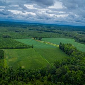 Photo #11 of 1601 Hills Neck, Ernul, NC 238.0 acres
