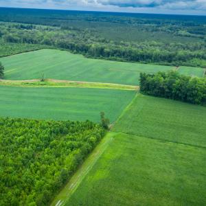 Photo #23 of 1601 Hills Neck, Ernul, NC 238.0 acres