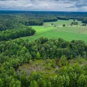Photo #29 of 1601 Hills Neck, Ernul, NC 238.0 acres