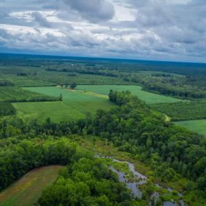 Photo #10 of 1601 Hills Neck, Ernul, NC 238.0 acres