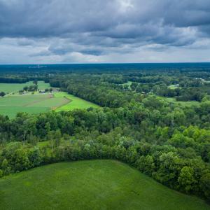 Photo #19 of 1601 Hills Neck, Ernul, NC 238.0 acres