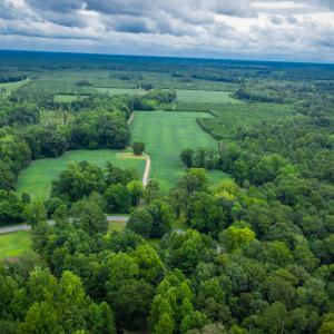 Photo #4 of 1601 Hills Neck, Ernul, NC 238.0 acres