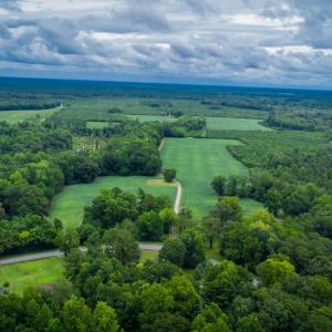 Photo #33 of 1601 Hills Neck, Ernul, NC 238.0 acres
