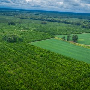 Photo #24 of 1601 Hills Neck, Ernul, NC 238.0 acres