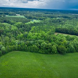 Photo #27 of 1601 Hills Neck, Ernul, NC 238.0 acres