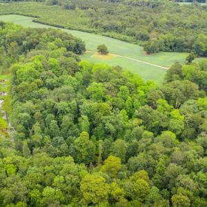Photo #7 of 1601 Hills Neck, Ernul, NC 238.0 acres