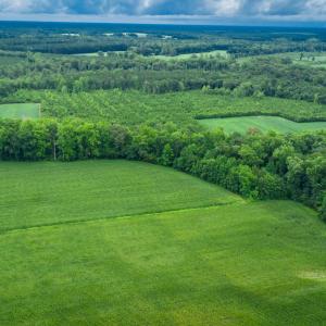 Photo #22 of 1601 Hills Neck, Ernul, NC 238.0 acres