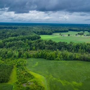 Photo #17 of 1601 Hills Neck, Ernul, NC 238.0 acres