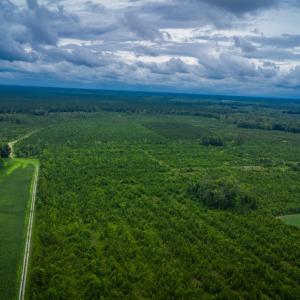 Photo #13 of 1601 Hills Neck, Ernul, NC 238.0 acres