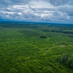 Photo #15 of 1601 Hills Neck, Ernul, NC 238.0 acres