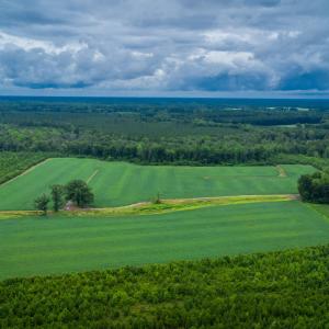 Photo #16 of 1601 Hills Neck, Ernul, NC 238.0 acres
