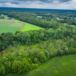 Photo #28 of 1601 Hills Neck, Ernul, NC 238.0 acres