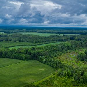 Photo #20 of 1601 Hills Neck, Ernul, NC 238.0 acres