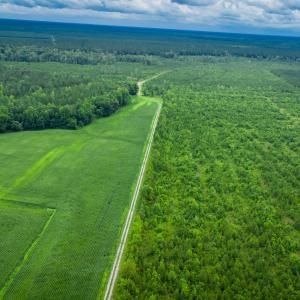 Photo #25 of 1601 Hills Neck, Ernul, NC 238.0 acres
