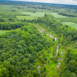 Photo #9 of 1601 Hills Neck, Ernul, NC 238.0 acres