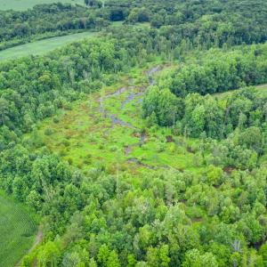 Photo #31 of 1601 Hills Neck, Ernul, NC 238.0 acres