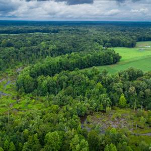 Photo #30 of 1601 Hills Neck, Ernul, NC 238.0 acres