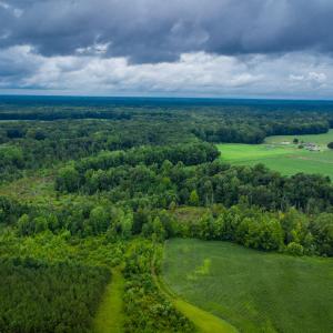 Photo #18 of 1601 Hills Neck, Ernul, NC 238.0 acres