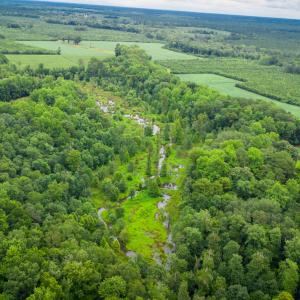 Photo #8 of 1601 Hills Neck, Ernul, NC 238.0 acres