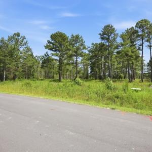 Photo #4 of 247 Shell Castle, Vandemere, NC 2.3 acres