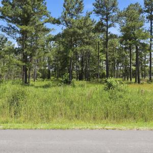 Photo #3 of 247 Shell Castle, Vandemere, NC 2.3 acres