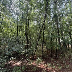 Photo #4 of 149 Hastings, West End, NC 0.8 acres