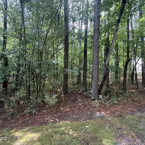 Photo #3 of 149 Hastings, West End, NC 0.8 acres