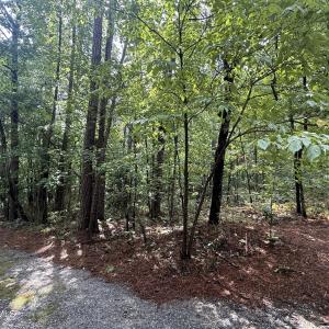 Photo #1 of 149 Hastings, West End, NC 0.8 acres