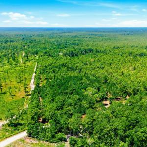 Photo #20 of 8027 Funston, Winnabow, NC 5.0 acres