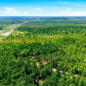 Photo #16 of 8027 Funston, Winnabow, NC 5.0 acres