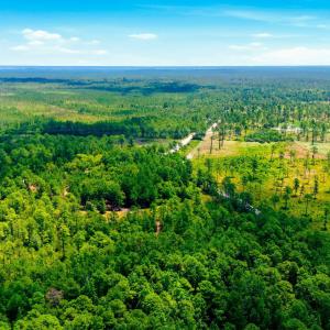 Photo #12 of 8027 Funston, Winnabow, NC 5.0 acres