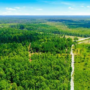 Photo #10 of 8027 Funston, Winnabow, NC 5.0 acres