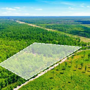 Photo #9 of 8027 Funston, Winnabow, NC 5.0 acres