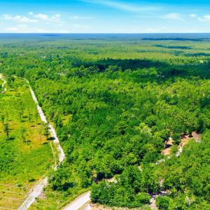Photo #6 of 8027 Funston, Winnabow, NC 5.0 acres