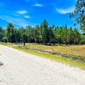 Photo #4 of 8027 Funston, Winnabow, NC 5.0 acres