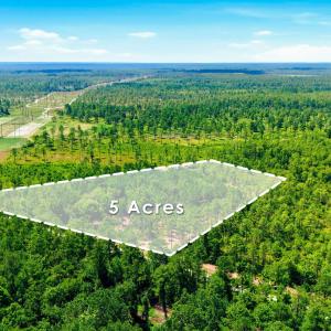 Photo #17 of 8027 Funston, Winnabow, NC 5.0 acres