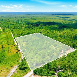 Photo #7 of 8027 Funston, Winnabow, NC 5.0 acres