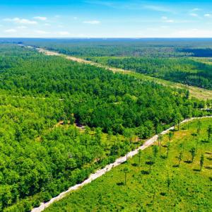 Photo #8 of 8027 Funston, Winnabow, NC 5.0 acres