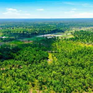 Photo #14 of 8027 Funston, Winnabow, NC 5.0 acres