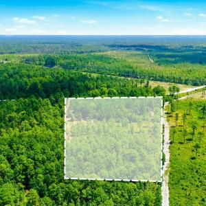 Photo #11 of 8027 Funston, Winnabow, NC 5.0 acres