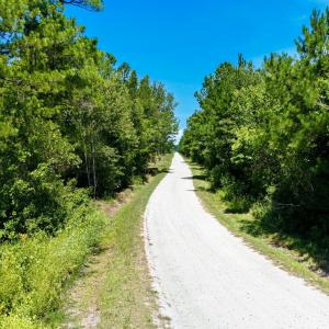 Photo #5 of 8027 Funston, Winnabow, NC 5.0 acres