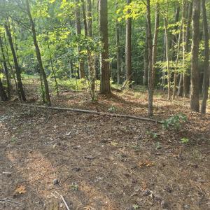Photo #4 of Lot 15 B1 Southwind, McCormick, SC 0.3 acres
