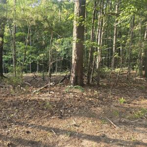 Photo #5 of Lot 15 B1 Southwind, McCormick, SC 0.3 acres