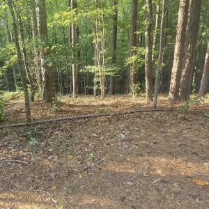 Photo #2 of Lot 15 B1 Southwind, McCormick, SC 0.3 acres