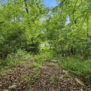 Photo #13 of 857 Mill River, Jacksonville, NC 11.1 acres